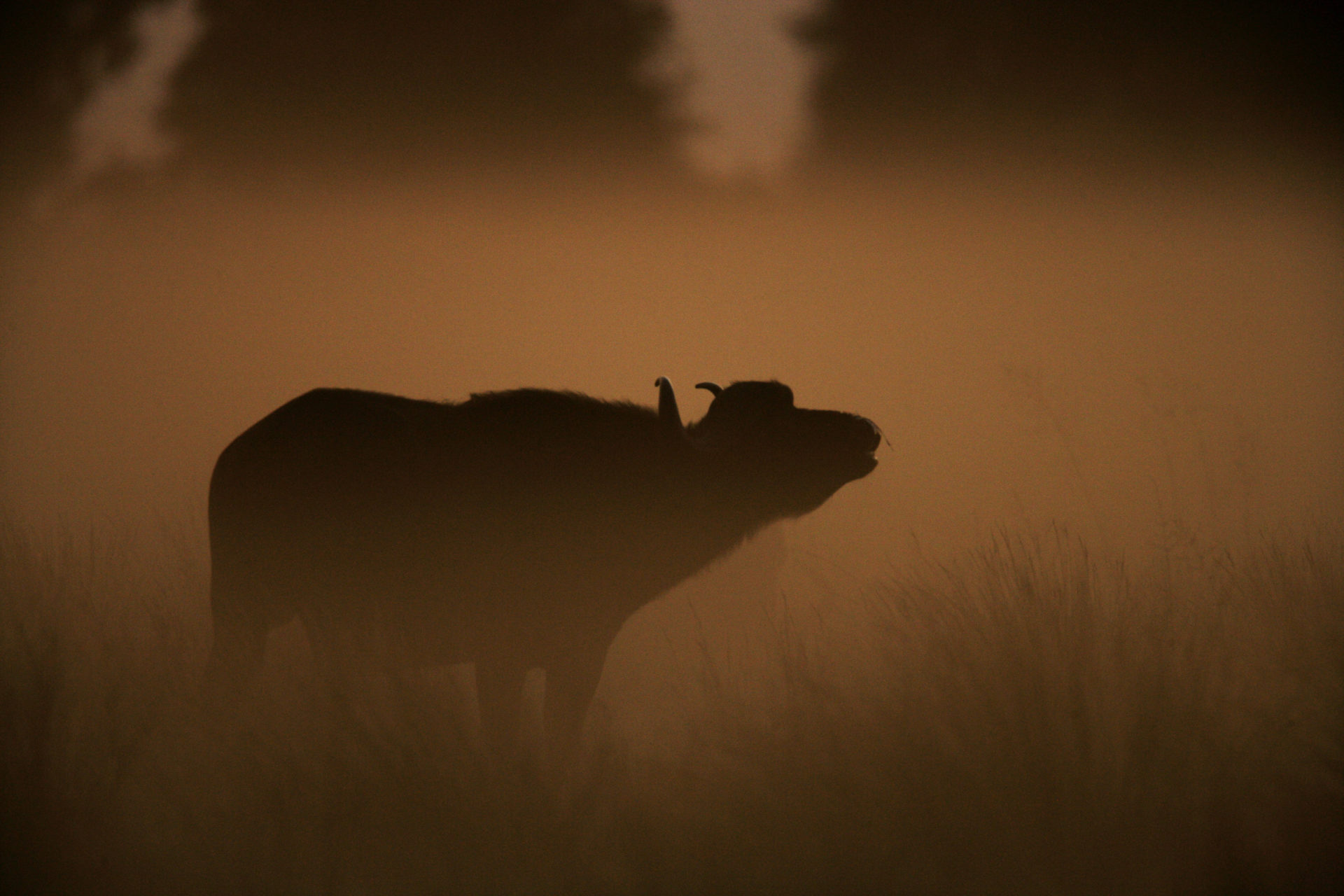 QUEEN ELIZABETH NATIONAL PARK