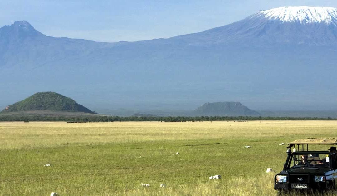 Amazing Amboseli