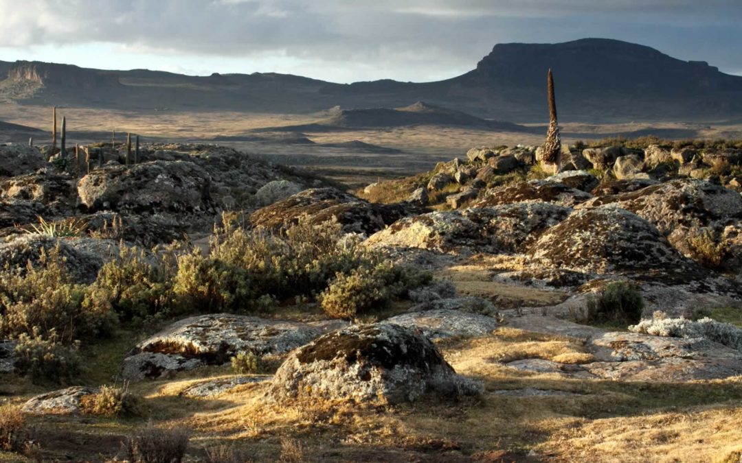 BALE MOUNTAINS NATIONAL PARK