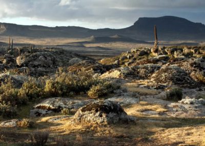BALE MOUNTAINS NATIONAL PARK