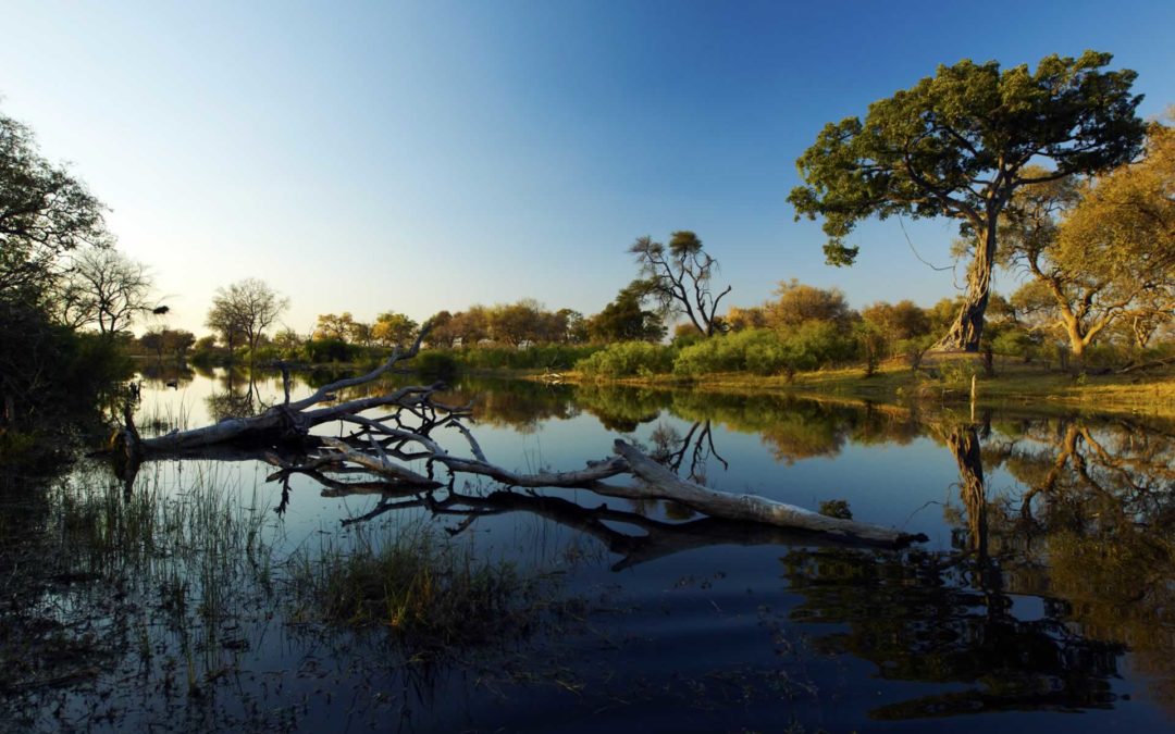 LAKE TANA