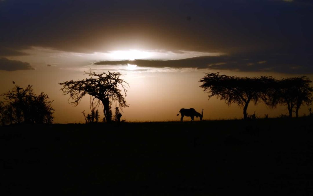 SERENGETI NATIONAL PARK