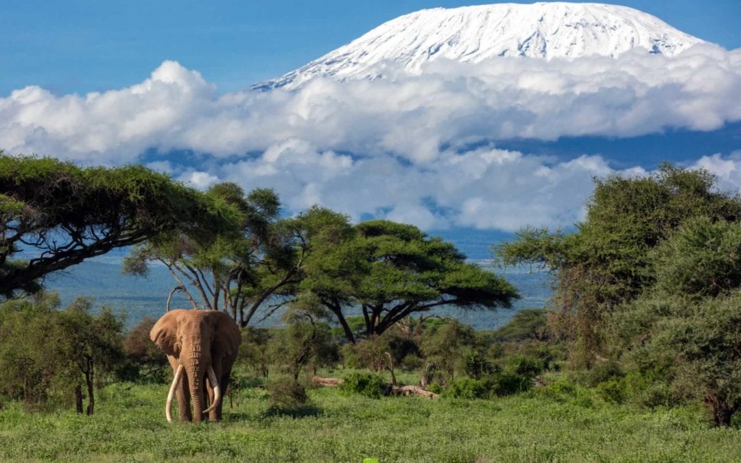 AMBOSELI NATIONAL RESERVE