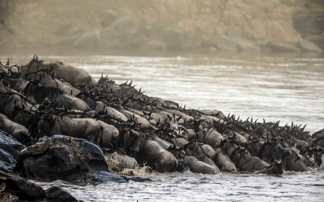 MAASAI MARA NATIONAL RESERVE